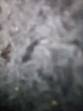 Snapshot of Romance32 chatting on November 2025 07:31:01 AM Romance32 online show from November 2025 07:31:01 AM