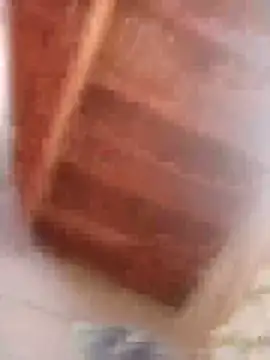 HOT-MUNDA online show from February 2026 09:02:01 AM