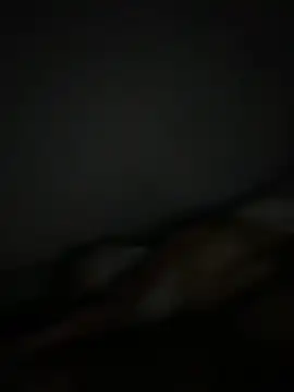 Snapshot of Smallboybigworld chatting on February 2026 09:42:01 PM Smallboybigworld online show from February 2026 09:42:01 PM