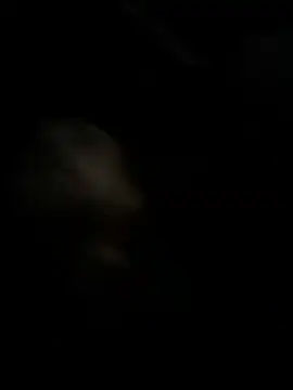 high3ndlowlife online show from November 2025 02:13:01 AM