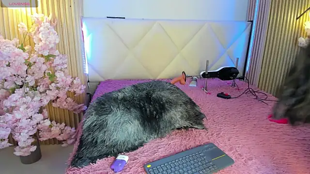 veronica hill  online show from July 2026 03:26:01 AM