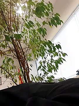 Snapshot of Emily_de_Carla chatting on September 2025 03:26:01 PM Emily de Carla online show from September 2025 03:26:01 PM