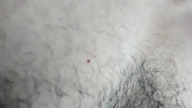 Snapshot of latinhotmuscle chatting on October 2025 03:18:01 AM latinhotmuscle online show from October 2025 03:18:01 AM