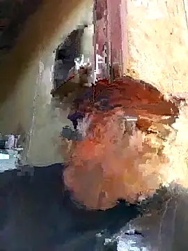 shebeshid online show from February 2026 07:34:02 AM