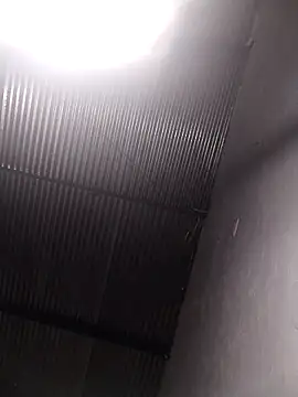 lucerocutte online show from October 2025 06:01:01 AM