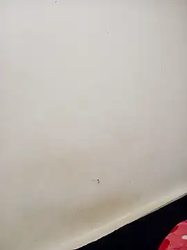 Dani 34velan online show from October 2025 03:15:02 AM