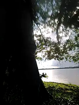 delesteli online show from November 2025 08:33:02 PM