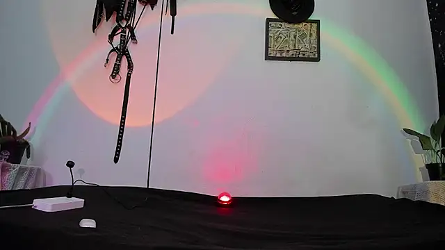 dex 55 online show from May 2026 10:29:02 PM