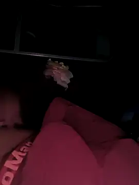 Snapshot of rajdehli chatting on December 2025 04:05:01 PM rajdehli online show from December 2025 04:05:01 PM