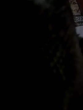 Snapshot of Lawrence067 chatting on October 2025 07:00:01 PM Lawrence067 online show from October 2025 07:00:01 PM