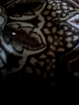 Snapshot of Lawrence067 chatting on February 2026 08:58:01 PM Lawrence067 online show from February 2026 08:58:01 PM