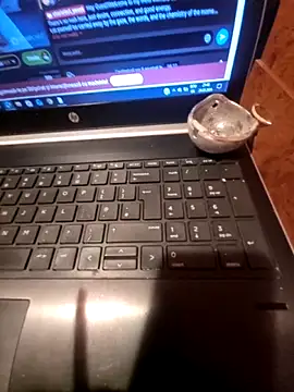 Lawrence067 online show from March 2026 07:41:02 PM