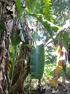 Snapshot of anastasia_cums chatting on October 2025 05:54:02 AM anastasia cums online show from October 2025 05:54:02 AM