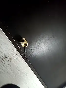 Snapshot of sanf8z chatting on November 2025 03:38:01 AM sanf8z online show from November 2025 03:38:01 AM