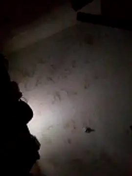 Galletita40 online show from April 2026 01:36:02 PM