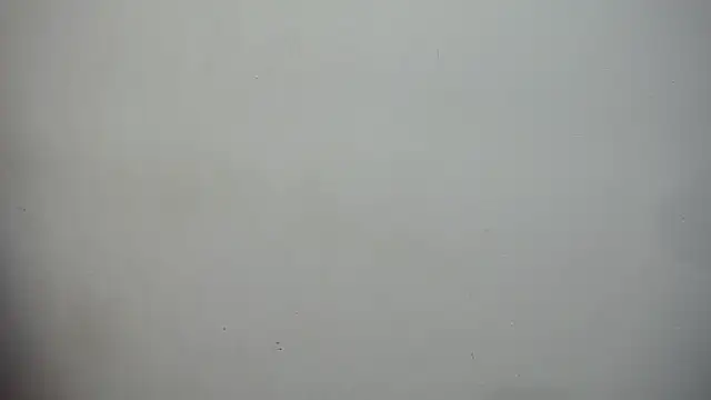 nenaa stg online show from September 2025 01:17:02 AM