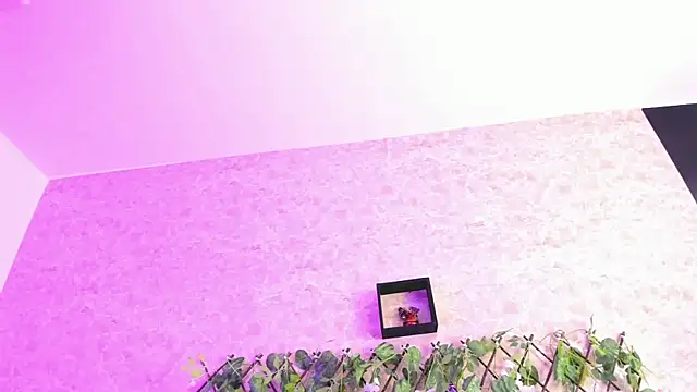 ImEmily444 online show from October 2025 07:50:01 AM