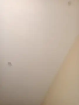 Snapshot of ElBufalo4l chatting on November 2025 01:21:02 PM ElBufalo4l online show from November 2025 01:21:02 PM