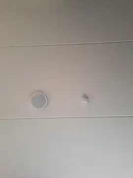 Snapshot of geilerd122 chatting on October 2025 03:56:02 PM geilerd122 online show from October 2025 03:56:02 PM