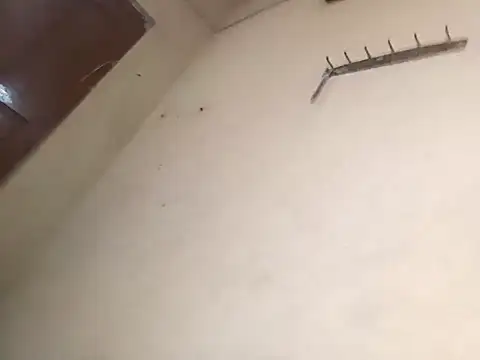 96Rohon online show from October 2025 02:58:02 AM