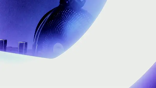 Snapshot of bell_popperr_ chatting on October 2025 11:29:02 AM bell popperr online show from October 2025 11:29:02 AM