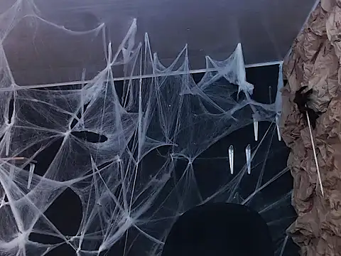 kattypurple online show from October 2025 01:42:02 PM