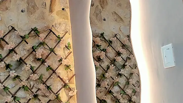 VenusBlazer online show from February 2026 03:21:02 AM