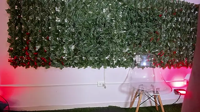 Snapshot of BellaRoux1 chatting on February 2026 12:35:01 PM BellaRoux1 online show from February 2026 12:35:01 PM