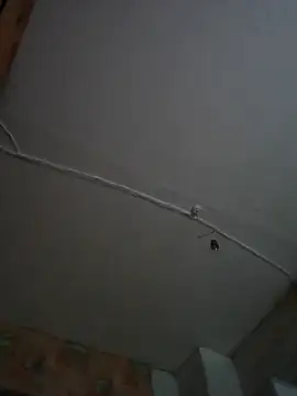 Romashka33011 online show from November 2025 08:15:02 AM