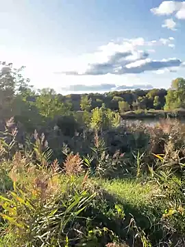 Snapshot of FavoriteKira chatting on September 2025 02:07:01 PM FavoriteKira online show from September 2025 02:07:01 PM