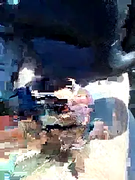 vercf14 online show from April 2026 12:54:01 PM