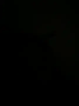 FirstTimeEvr online show from July 2026 07:34:02 AM