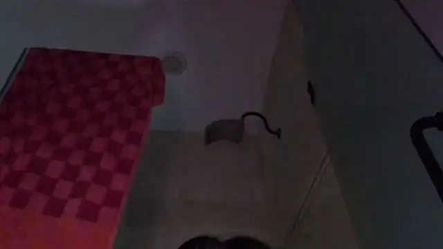 Snapshot of TallDrink11 chatting on September 2025 10:25:01 PM TallDrink11 online show from September 2025 10:25:01 PM