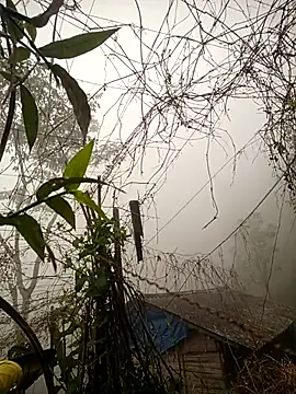 quynhkoolbae online show from February 2026 12:44:01 AM