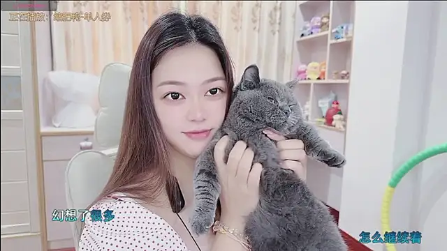 Lcey 66 online show from July 2026 01:23:02 AM