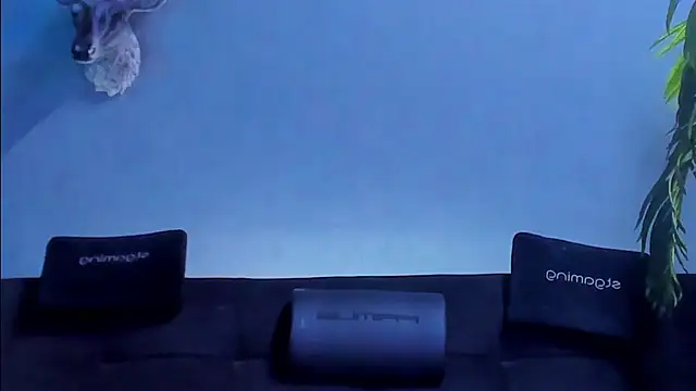 Snapshot of dennis_cox1 chatting on May 2026 08:33:01 AM dennis cox1 online show from May 2026 08:33:01 AM