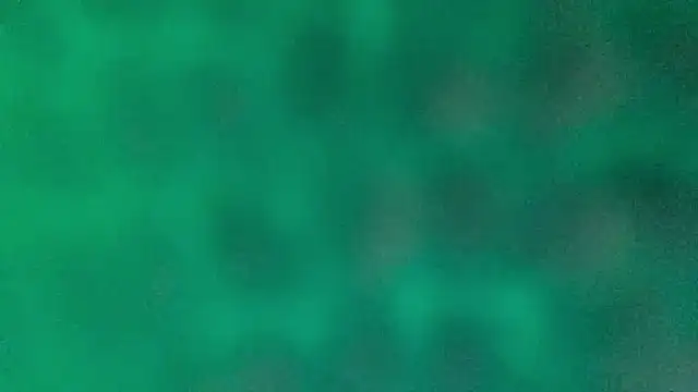 BROsister online show from February 2026 06:34:01 AM