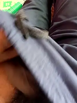 dolphiinn online show from November 2025 05:18:01 AM