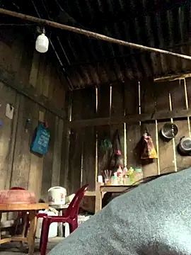 Snapshot of rosa-1200 chatting on November 2025 01:49:02 AM rosa-1200 online show from November 2025 01:49:02 AM