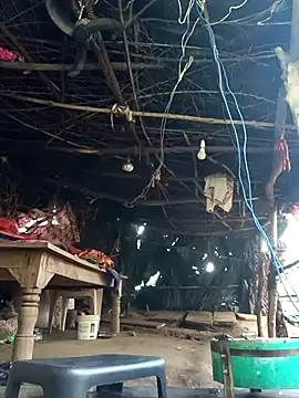 Snapshot of cute_diya_12 chatting on December 2025 03:01:02 AM cute diya 12 online show from December 2025 03:01:02 AM