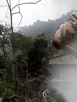 venu00 online show from January 2026 04:18:01 AM