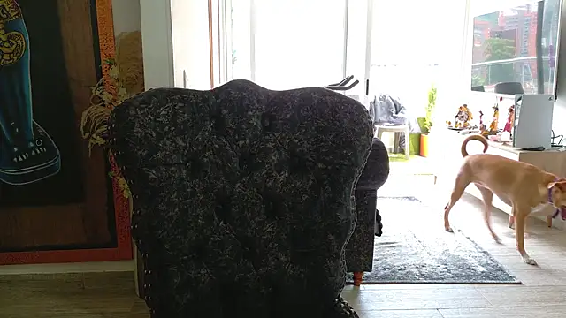 Sarahlove 90 online show from October 2025 06:03:02 PM