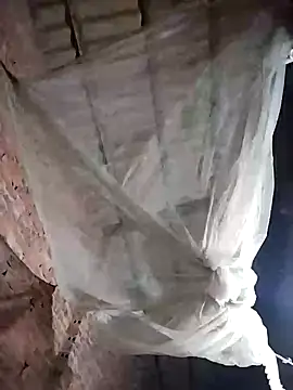 miss-su online show from February 2026 11:08:01 PM