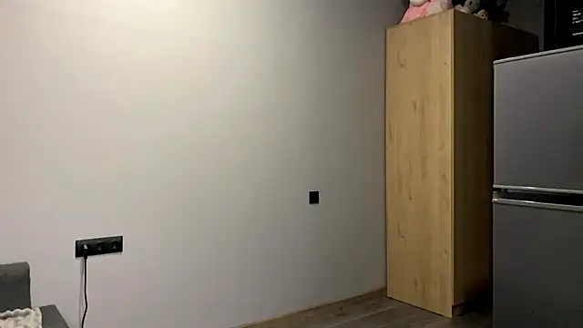 Snapshot of AiMinix chatting on October 2025 04:13:02 PM AiMinix online show from October 2025 04:13:02 PM