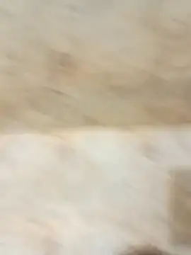 Snapshot of king_godgm chatting on December 2025 01:34:02 AM king godgm online show from December 2025 01:34:02 AM