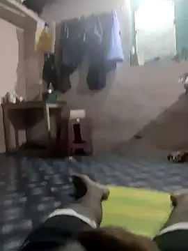 Snapshot of Msrahul2 chatting on November 2025 05:55:02 PM Msrahul2 online show from November 2025 05:55:02 PM