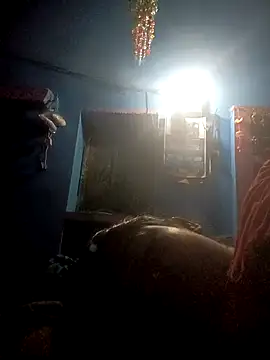 Hansini Gowda online show from September 2025 10:22:01 PM