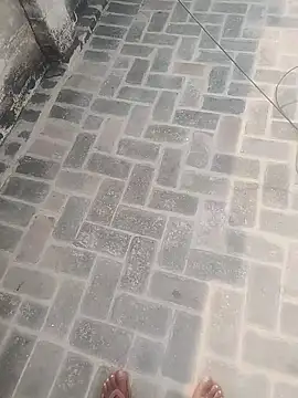 Snapshot of PunjabiSardarBull chatting on November 2025 04:34:02 AM PunjabiSardarBull online show from November 2025 04:34:02 AM