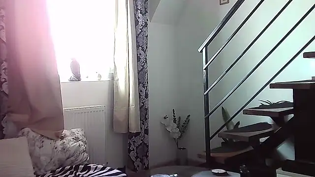 RyanStorm  online show from September 2025 10:37:02 AM