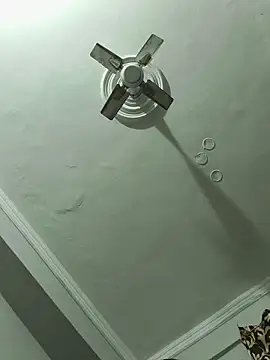 Snapshot of vardh033 chatting on December 2025 03:55:01 AM vardh033 online show from December 2025 03:55:01 AM